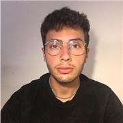 Lezioni private di Storia, Italiano, Storia dell'arte e latino